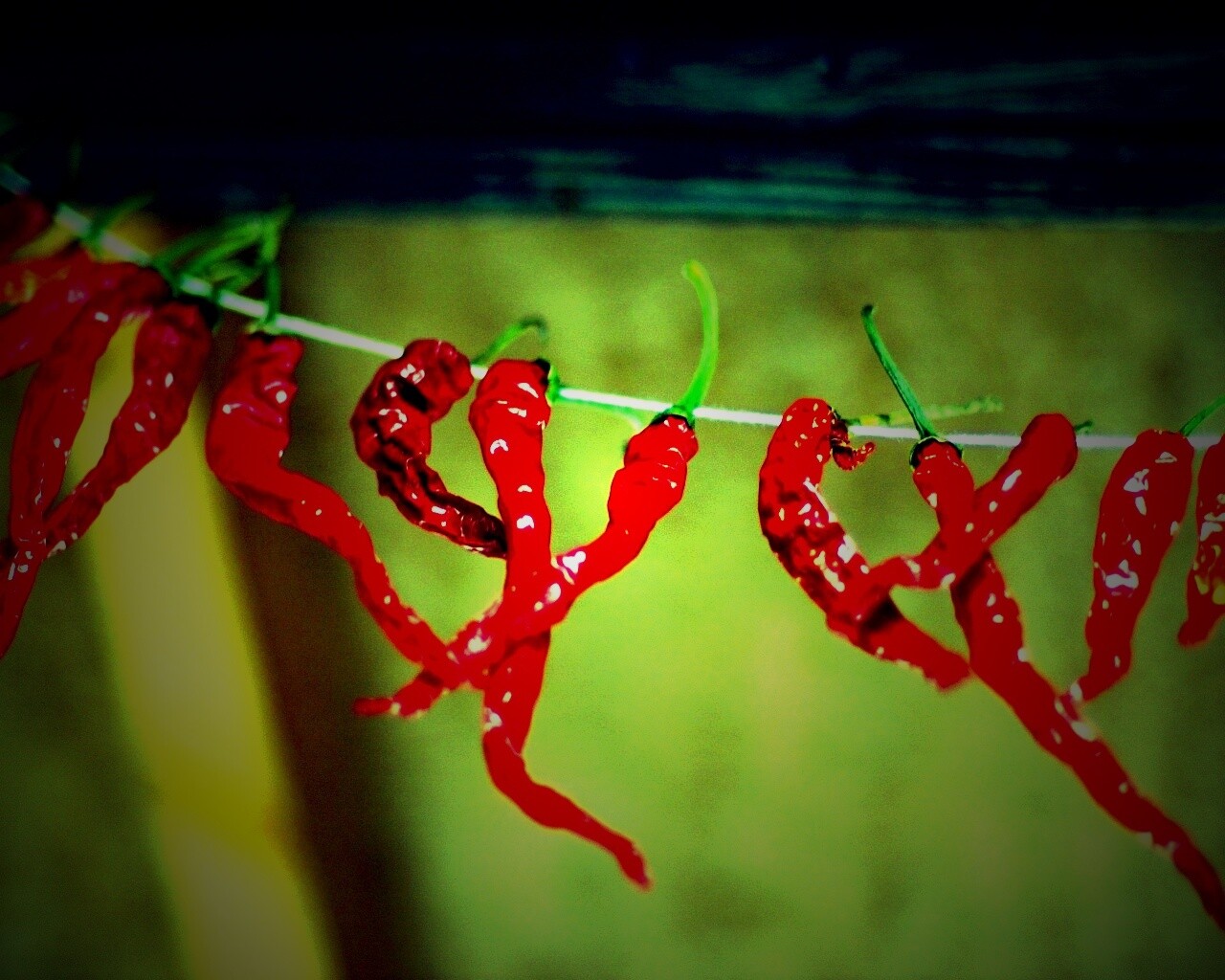 Перчики чили обои