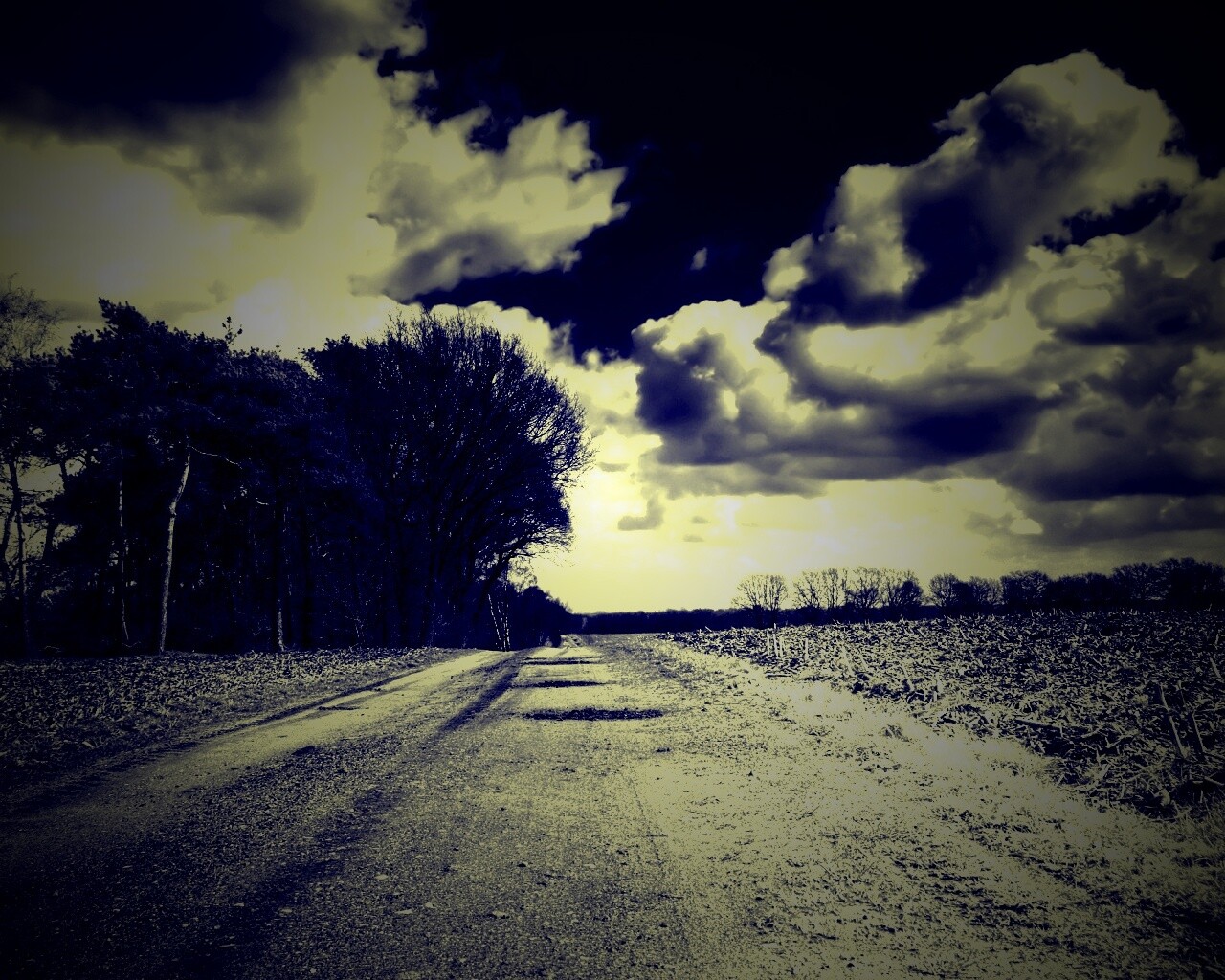 Дорога через поле обои