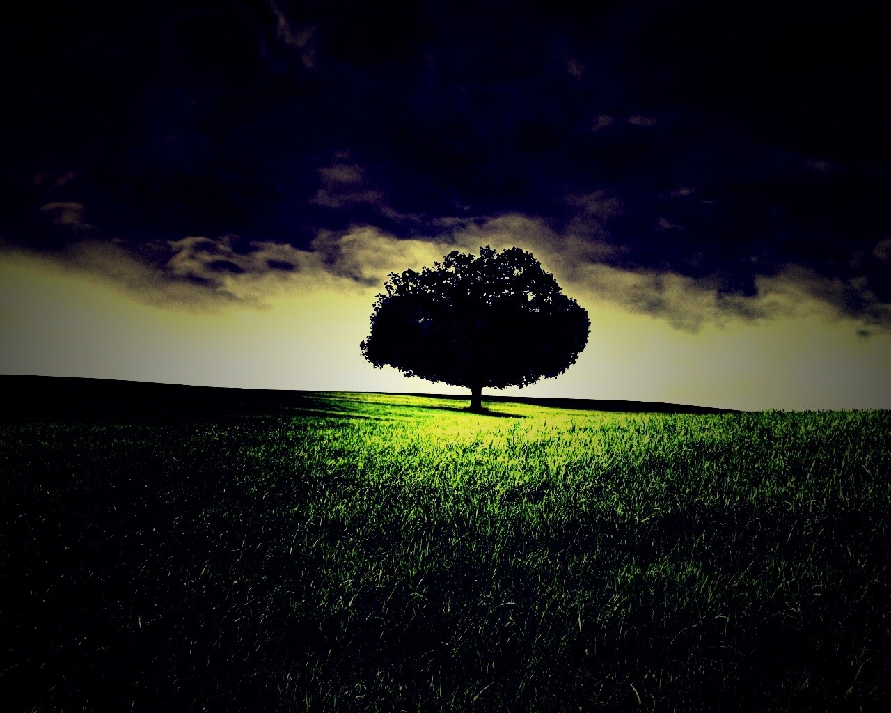 Одинокое дерево под грозовым небом обои