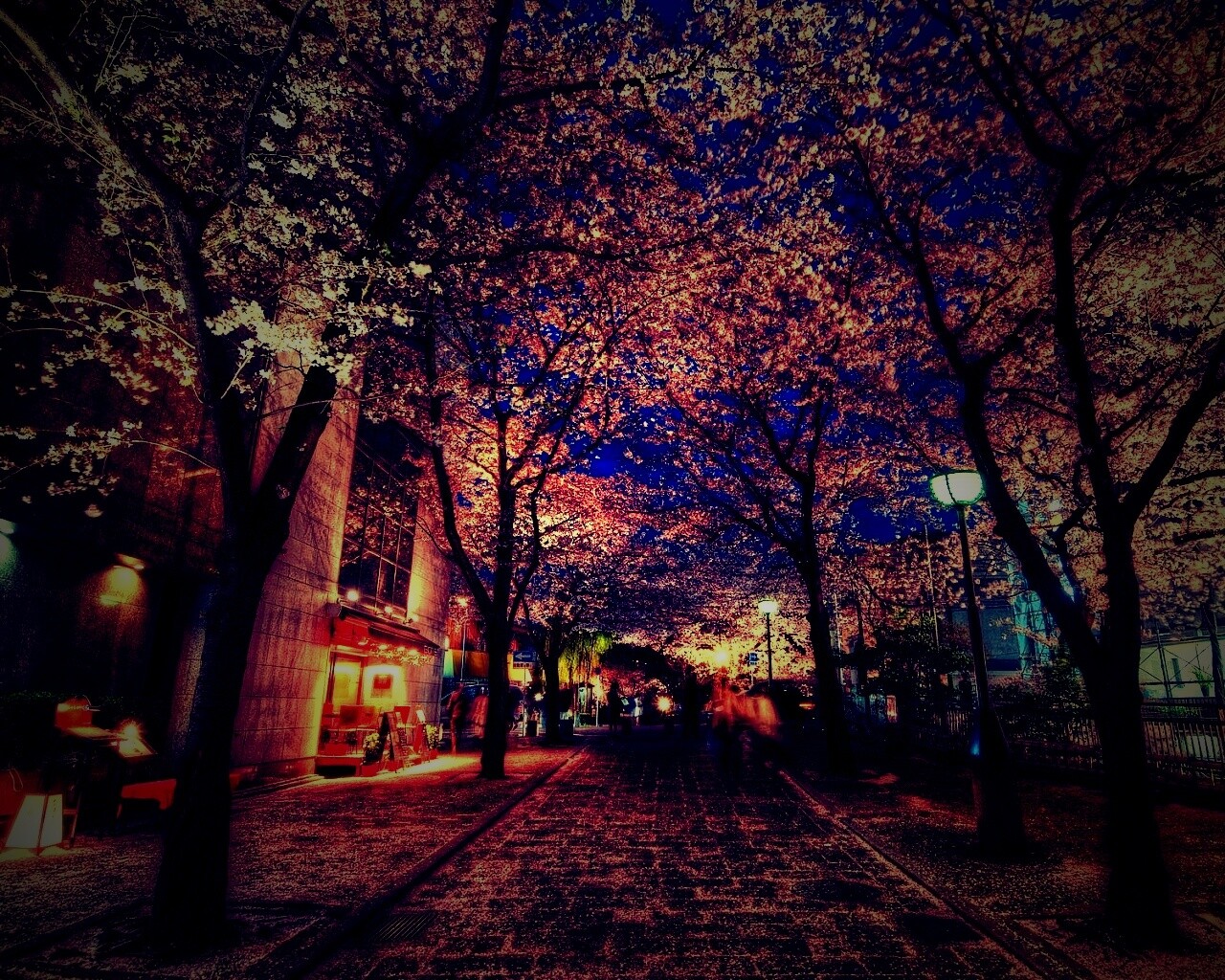 Аллея лепестков обои