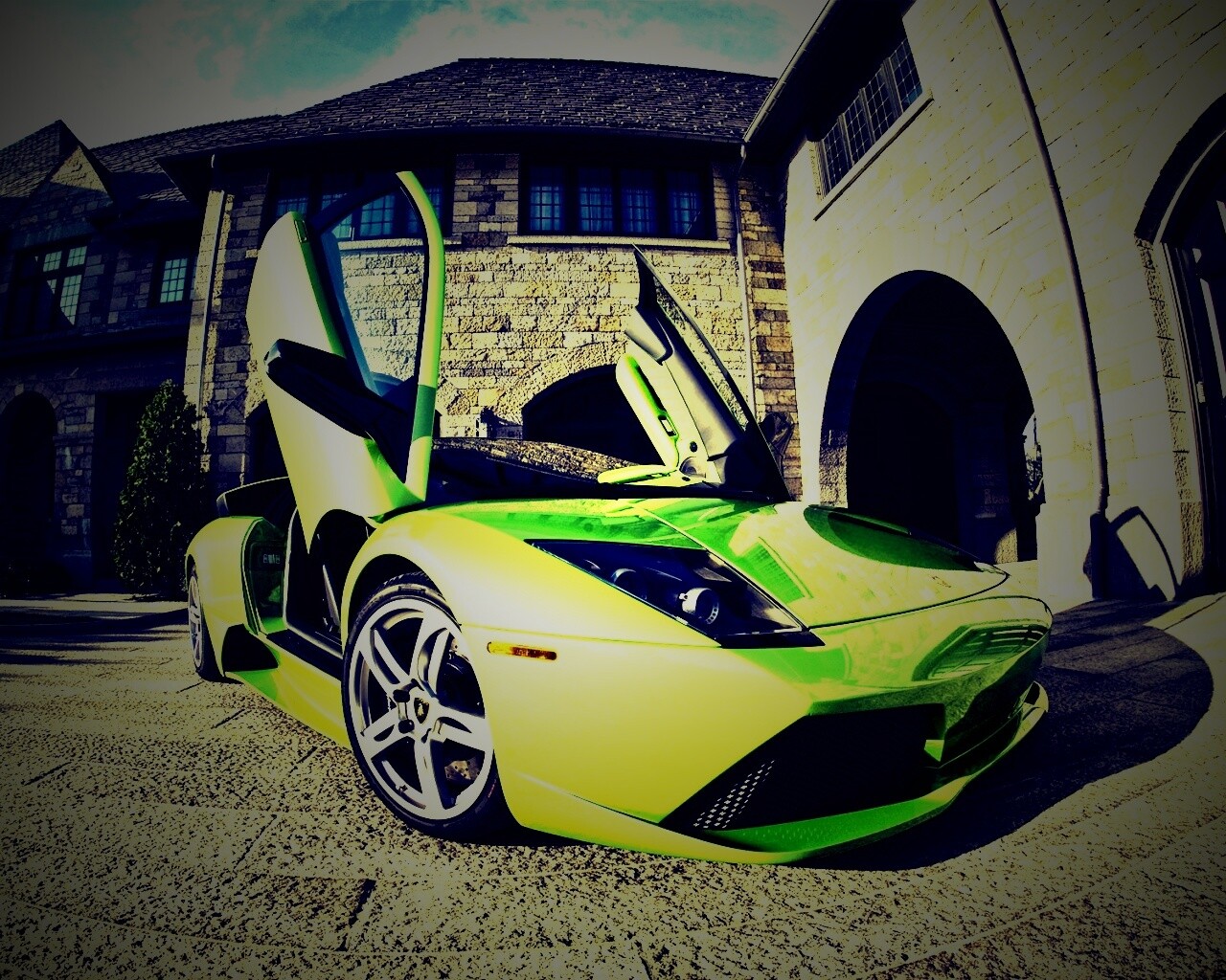 Зеленая ламба обои