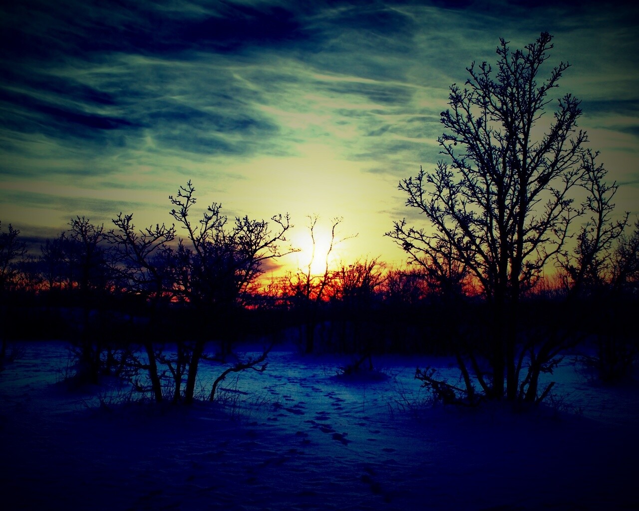 Закат в зимнем лесу обои