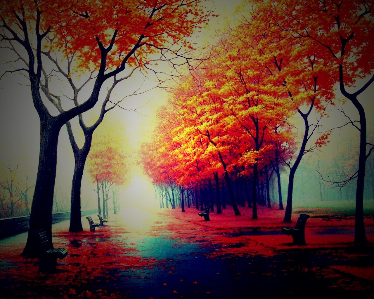 Дорога в осень обои