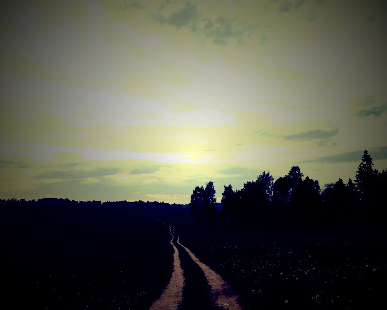 Дорога к лесу обои