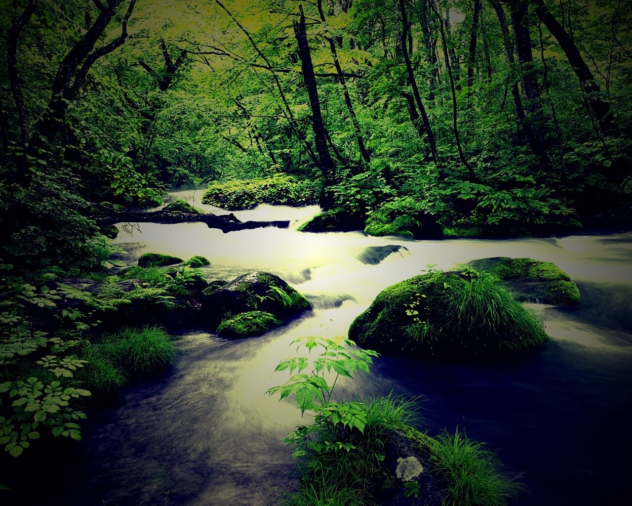 Лесная река обои