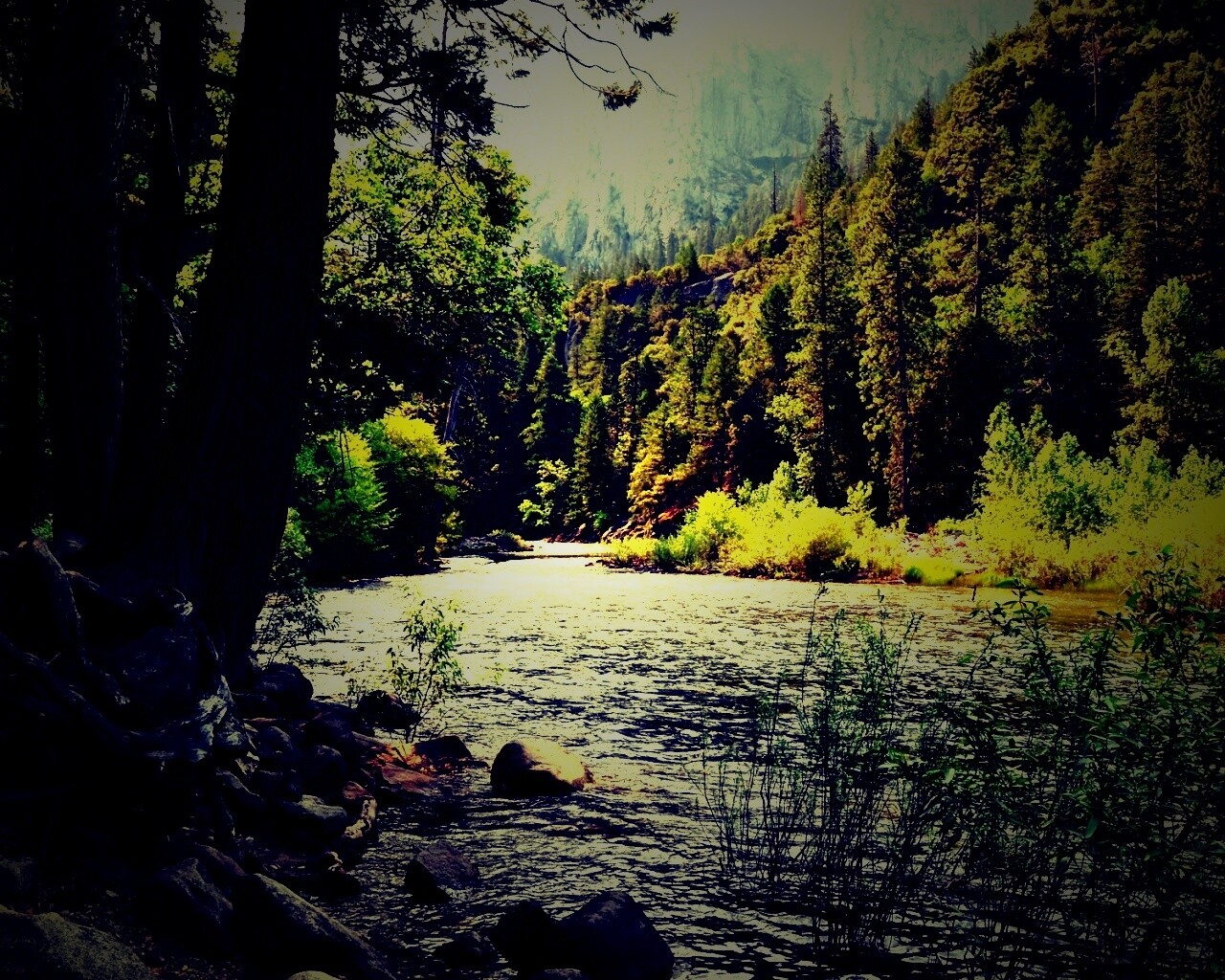 Национальный заповедник обои