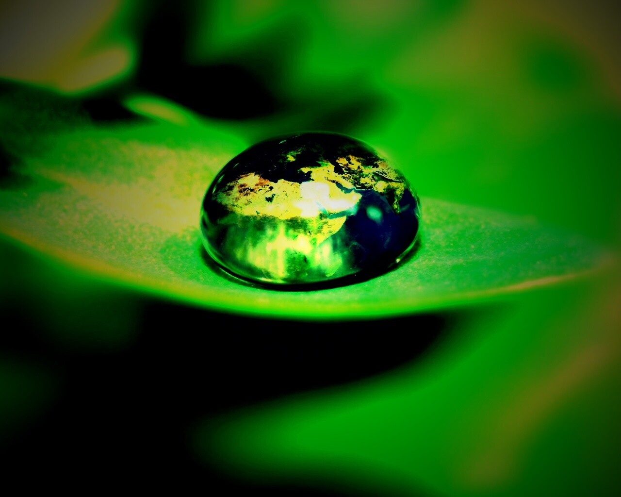 Целый мир в капле воды обои