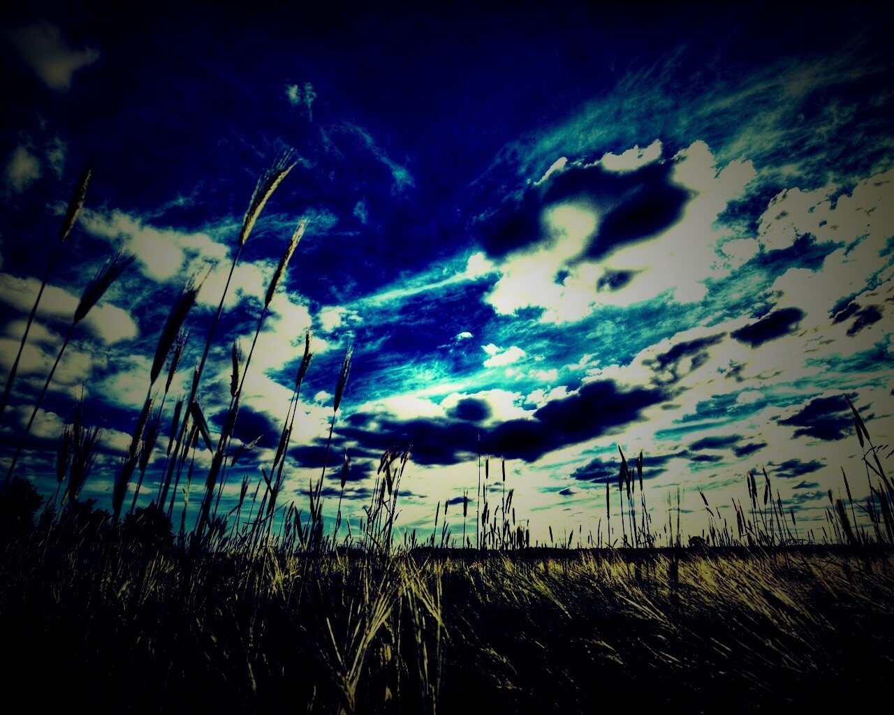 HDR Поле обои