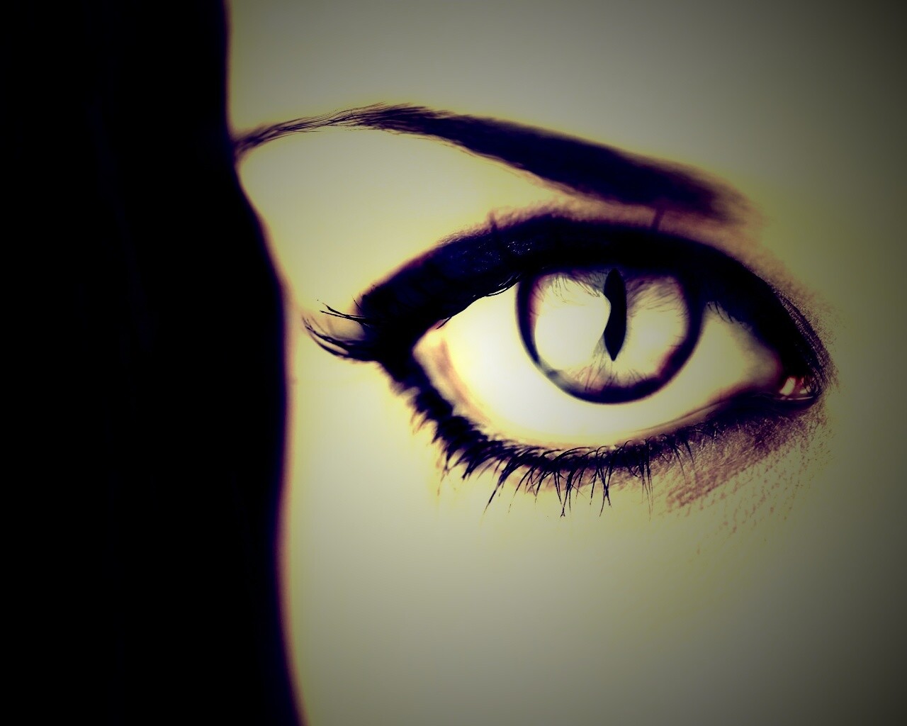 Кошачий глаз обои