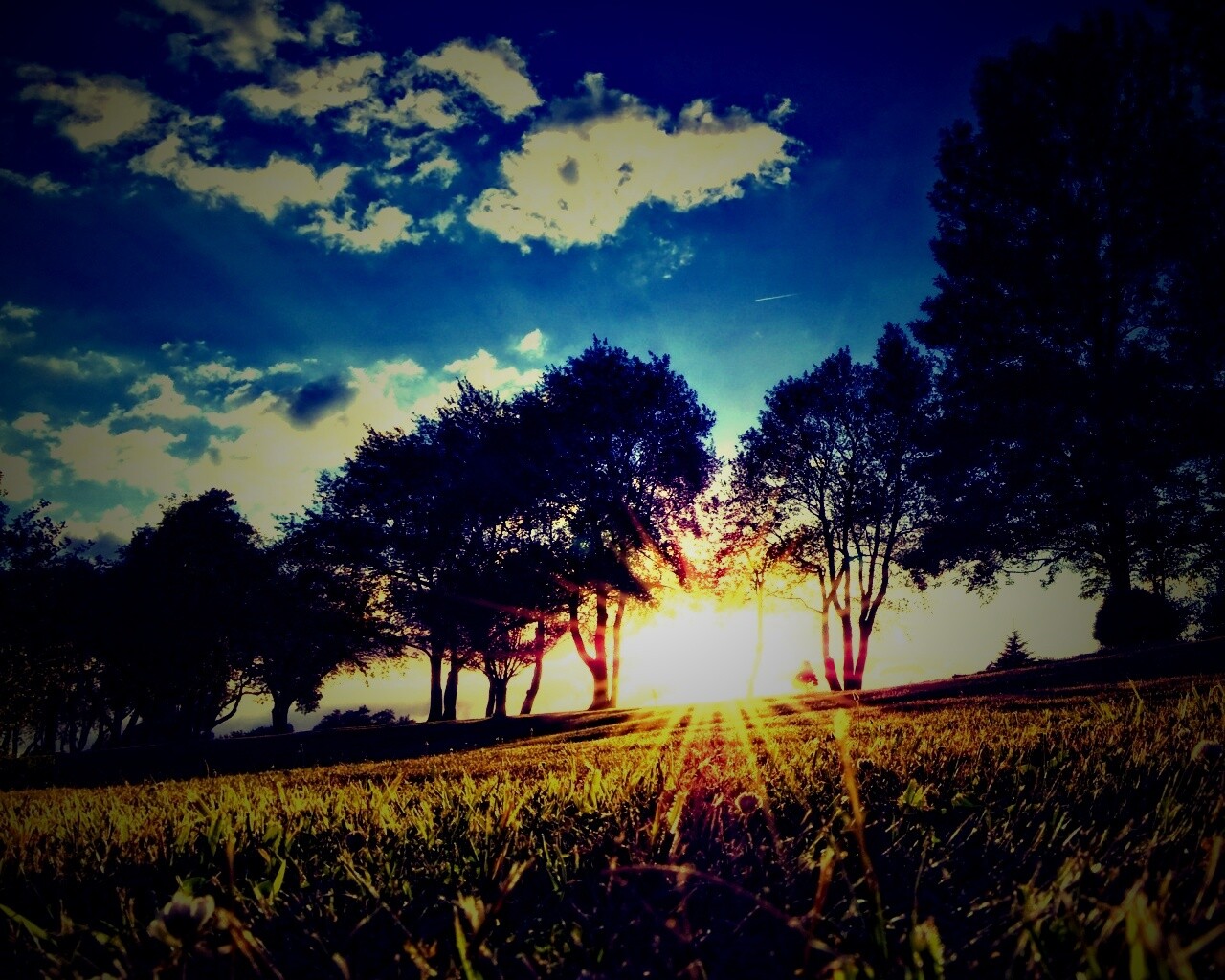 Лучи солнца на траве обои