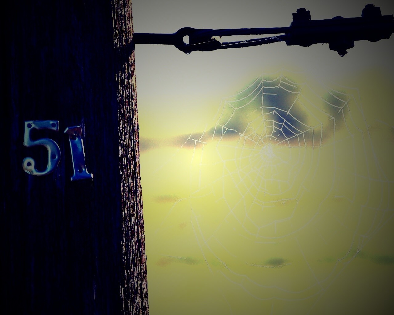 Паутина 51 обои