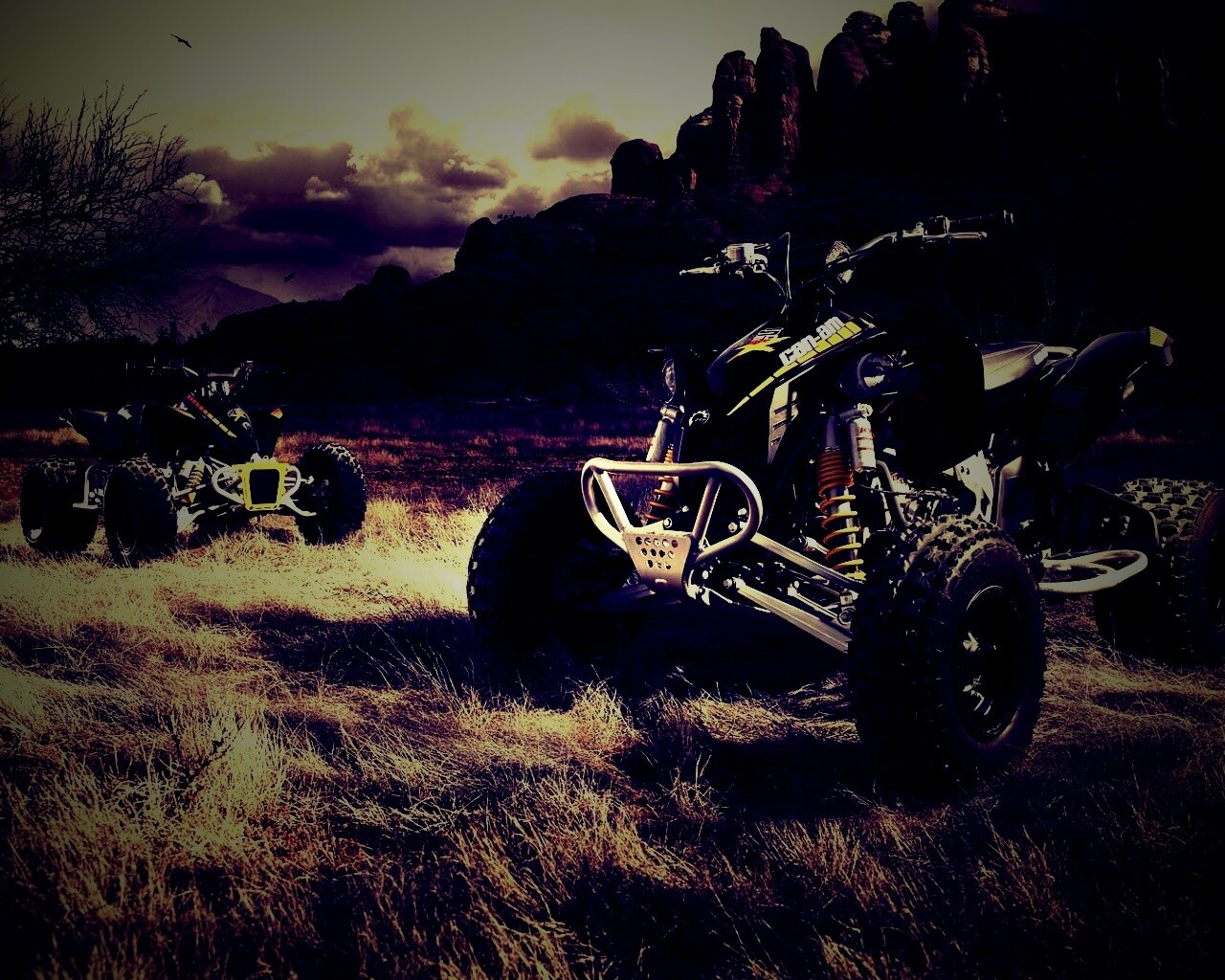 Квадроциклы обои