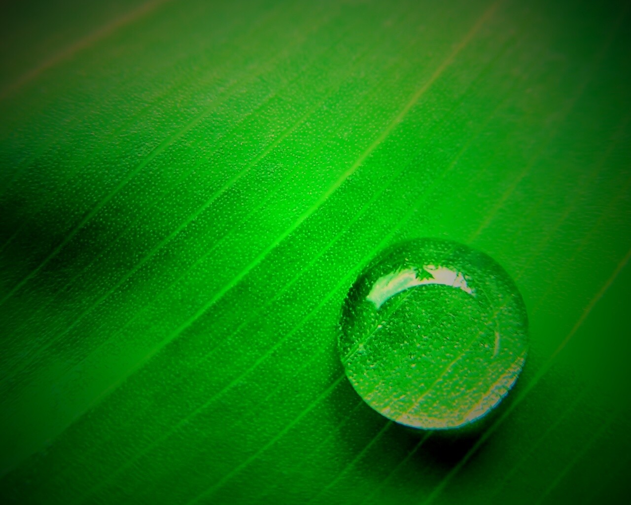 Одна капля обои