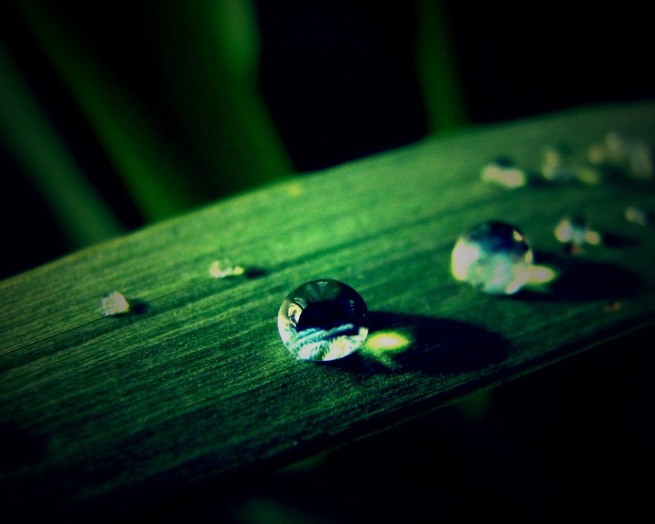 Капли росы на листе обои