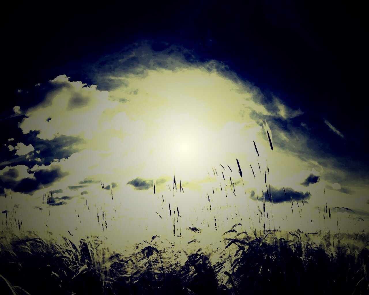 Сюрреалистичная трава обои