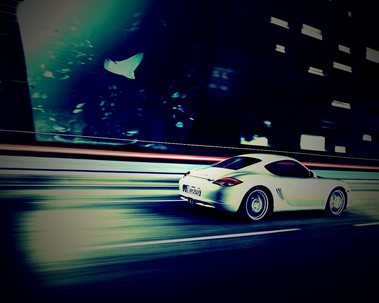 Porsche на трассе обои