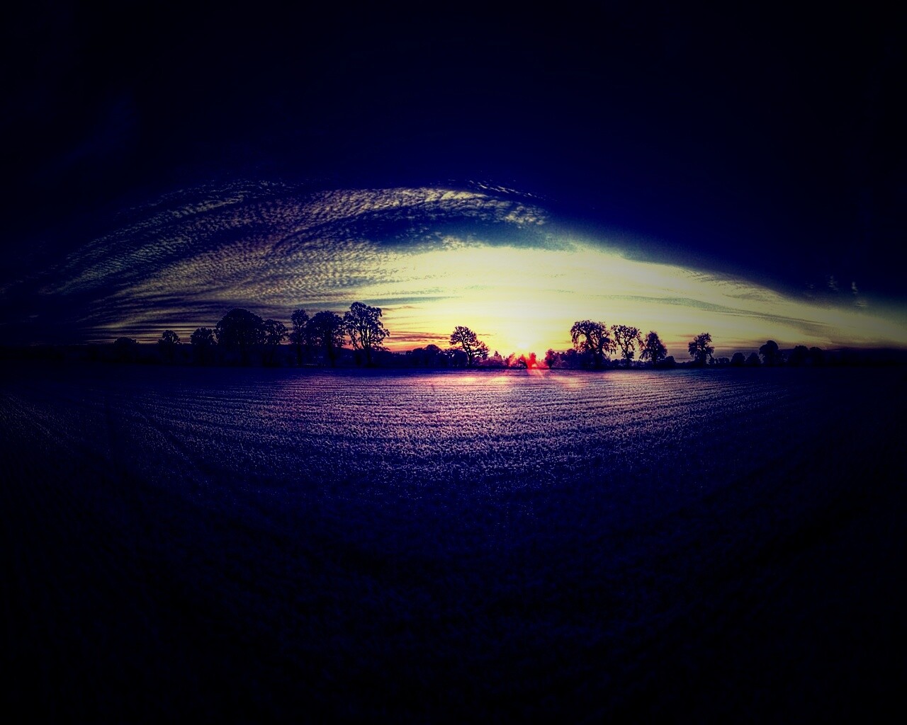 Поле широкоугольным объективом обои