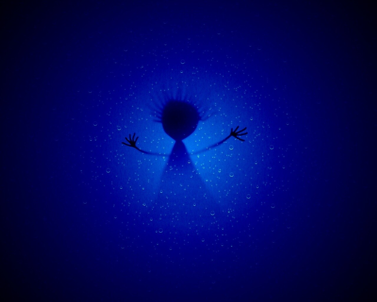 Силуэт обои