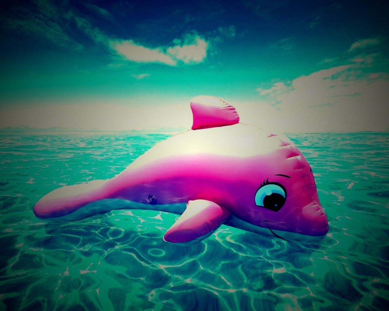 Надувной розовый дельфин обои
