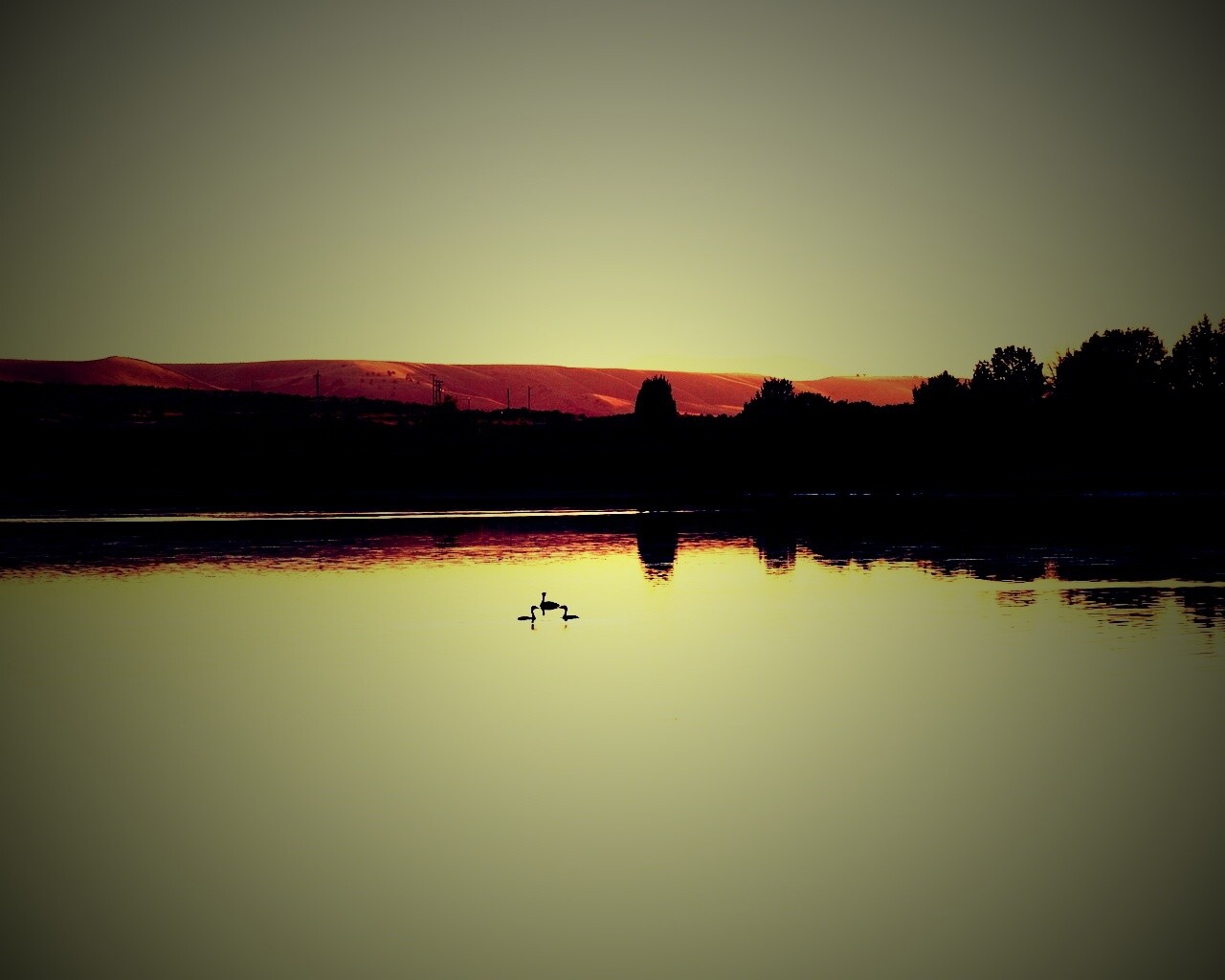 Утиное озеро обои