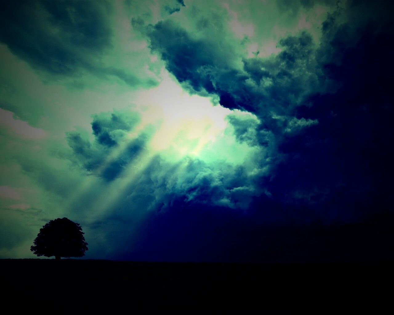 Избранный обои