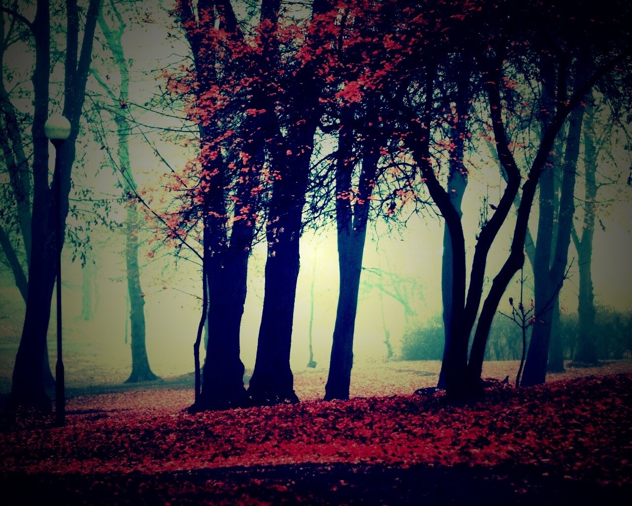 Парк красных листьев обои