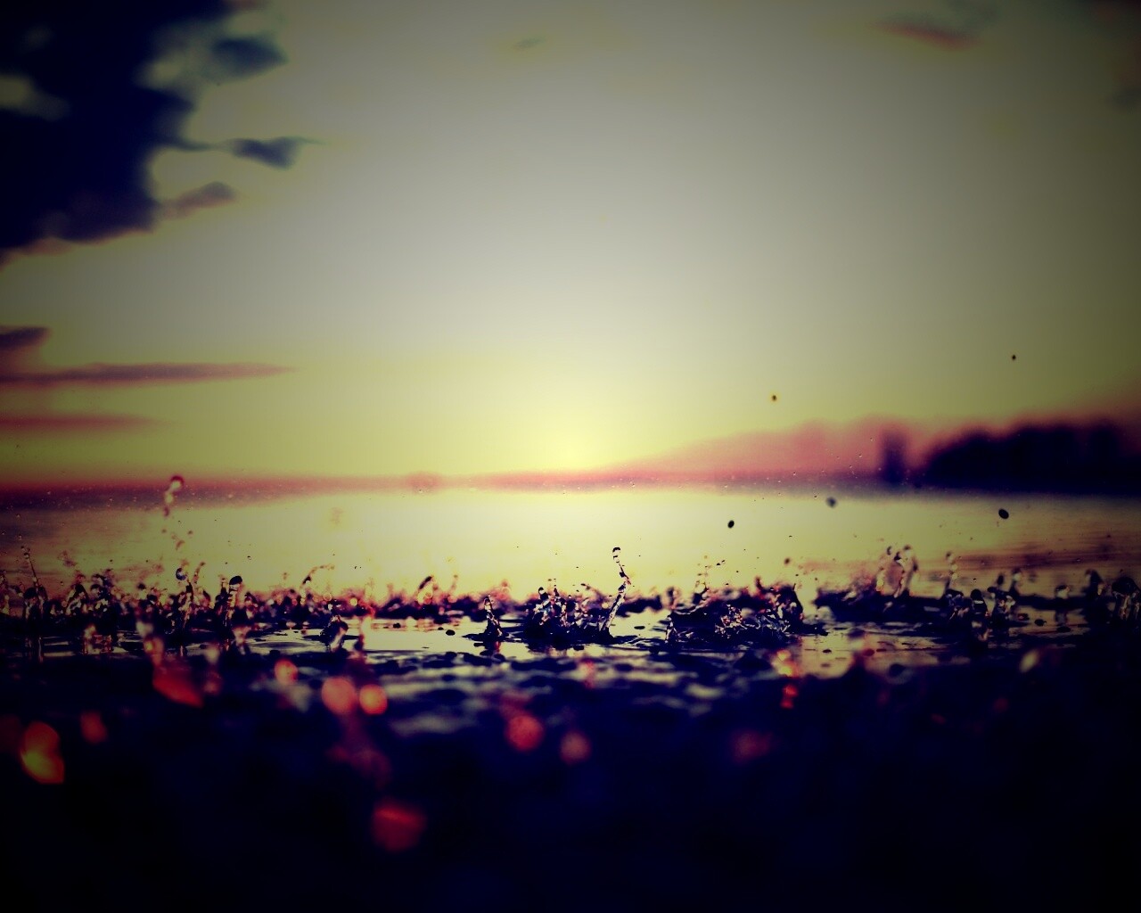 Дождь в макро обои