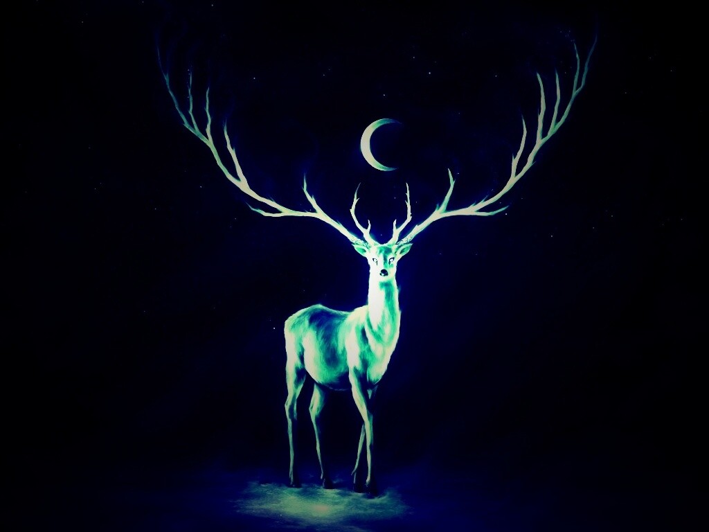 Олень в лунном свете обои