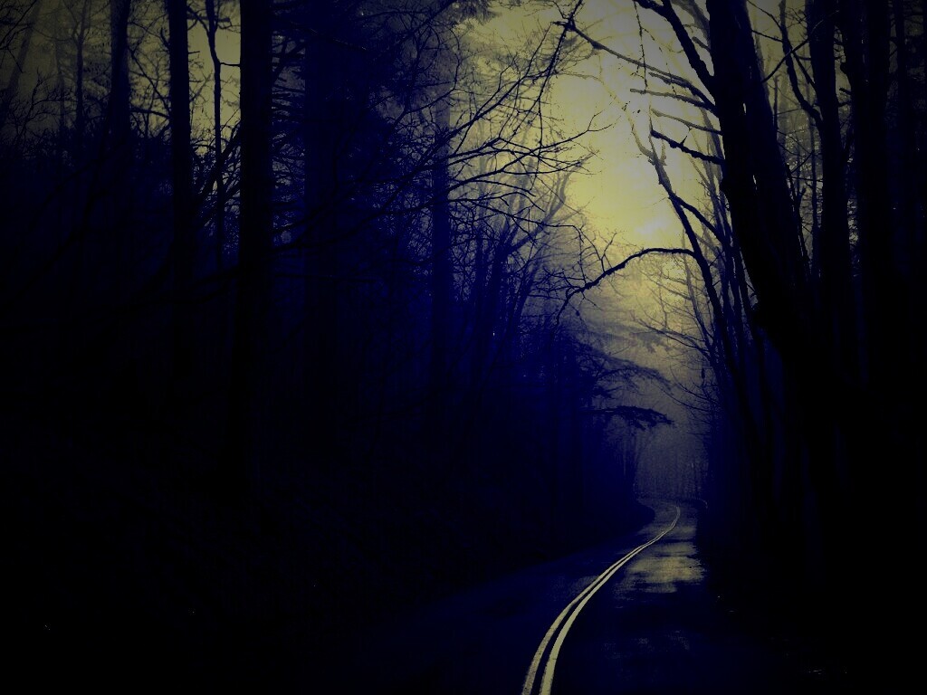 В туман обои