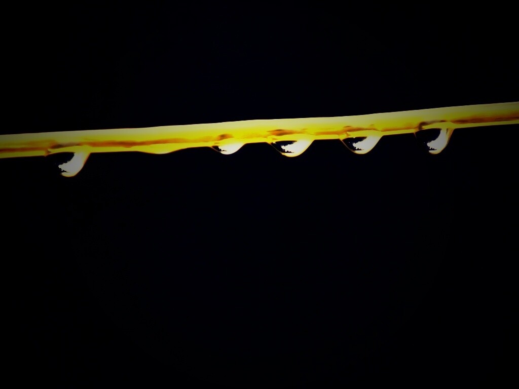 Капли на соломинке обои