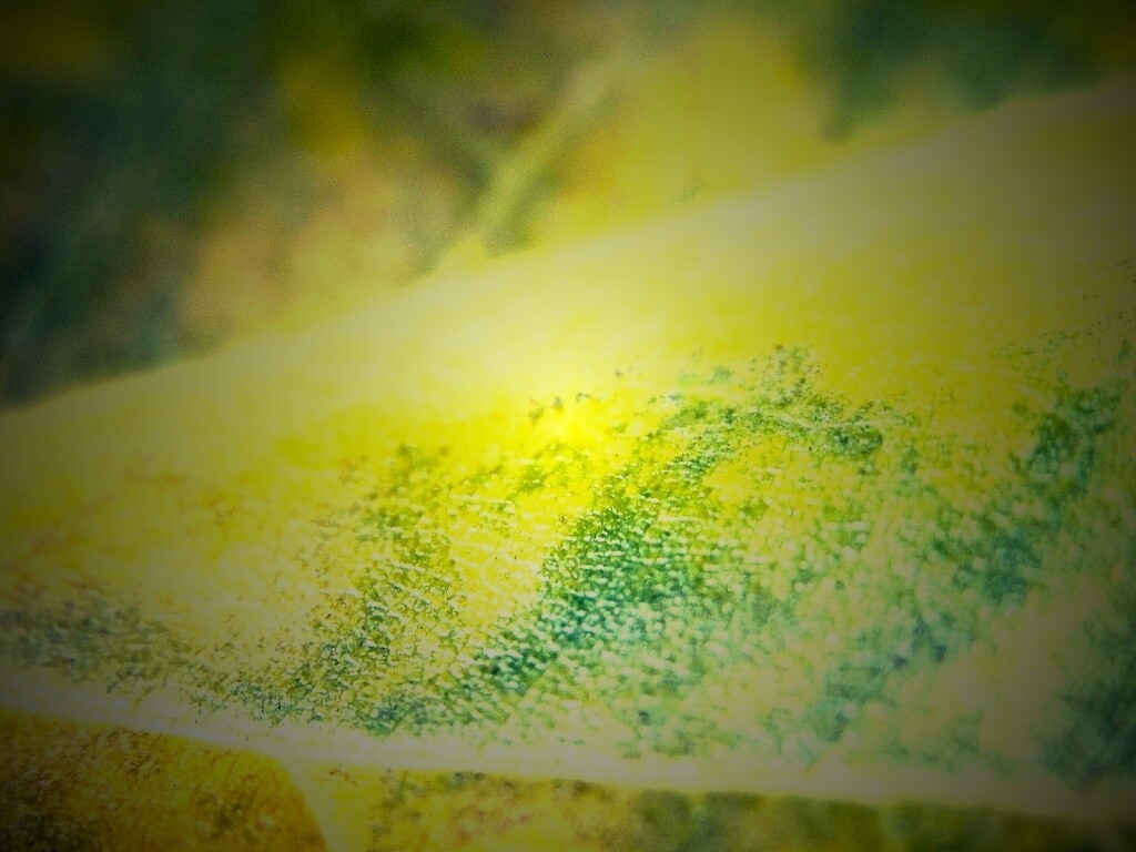 Повехность листа обои