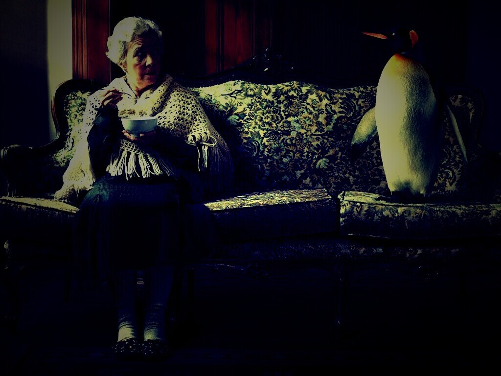 Соседи по дивану обои