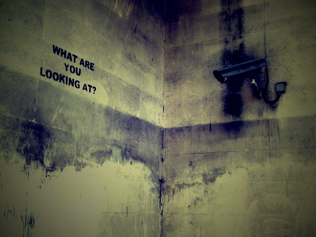 На что ты смотришь? обои