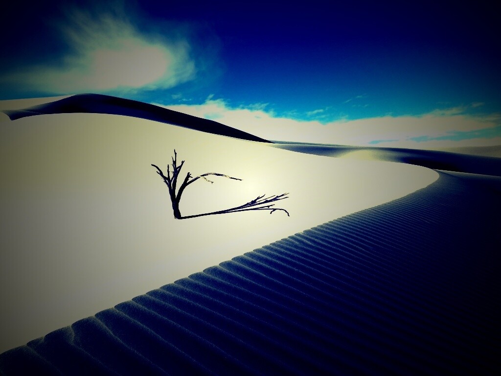Сухостой в пустыне обои