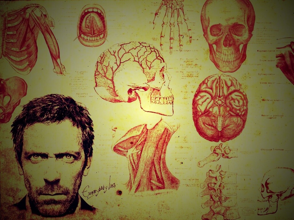 Анатомические рисунки доктора Хауса обои