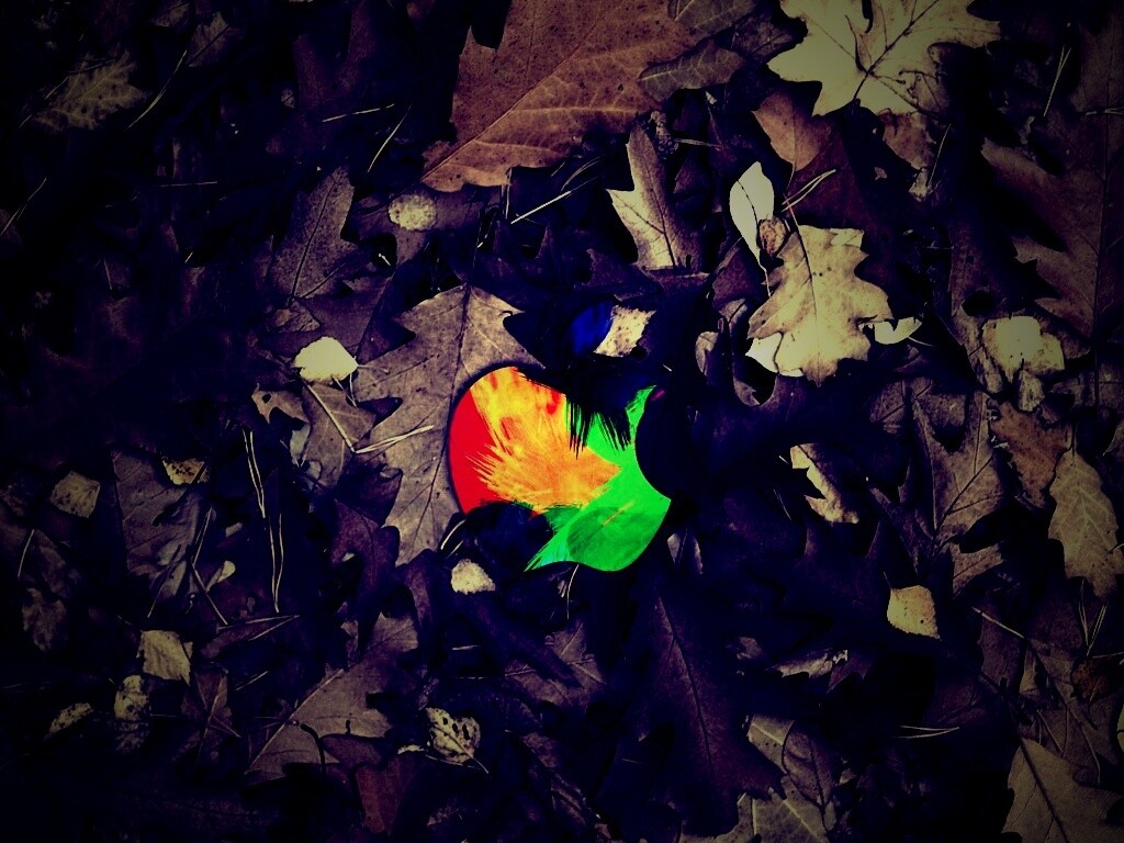 Эпл в сухой листве обои