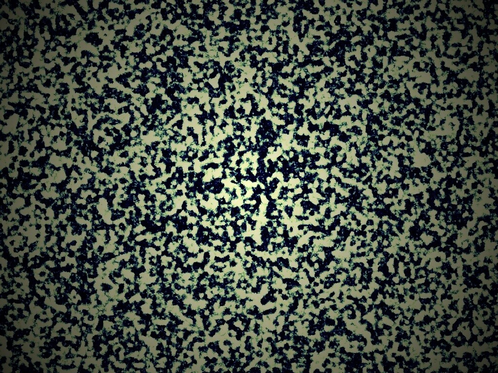 Черно-белый ковролин обои