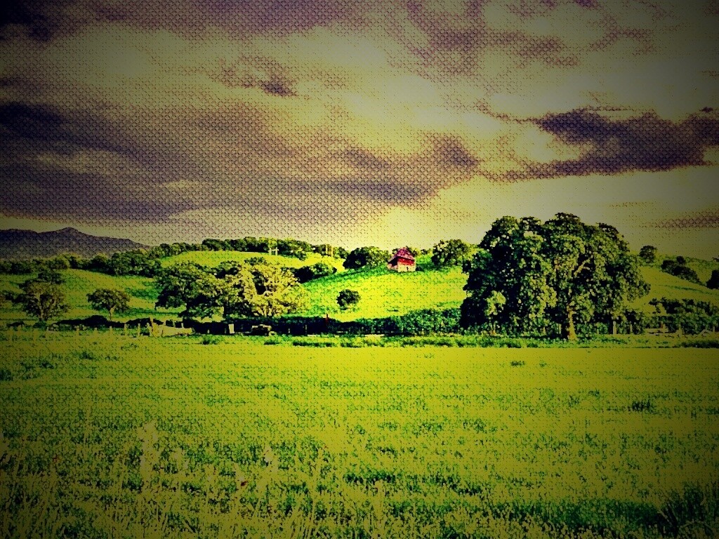 Домик на холмах обои