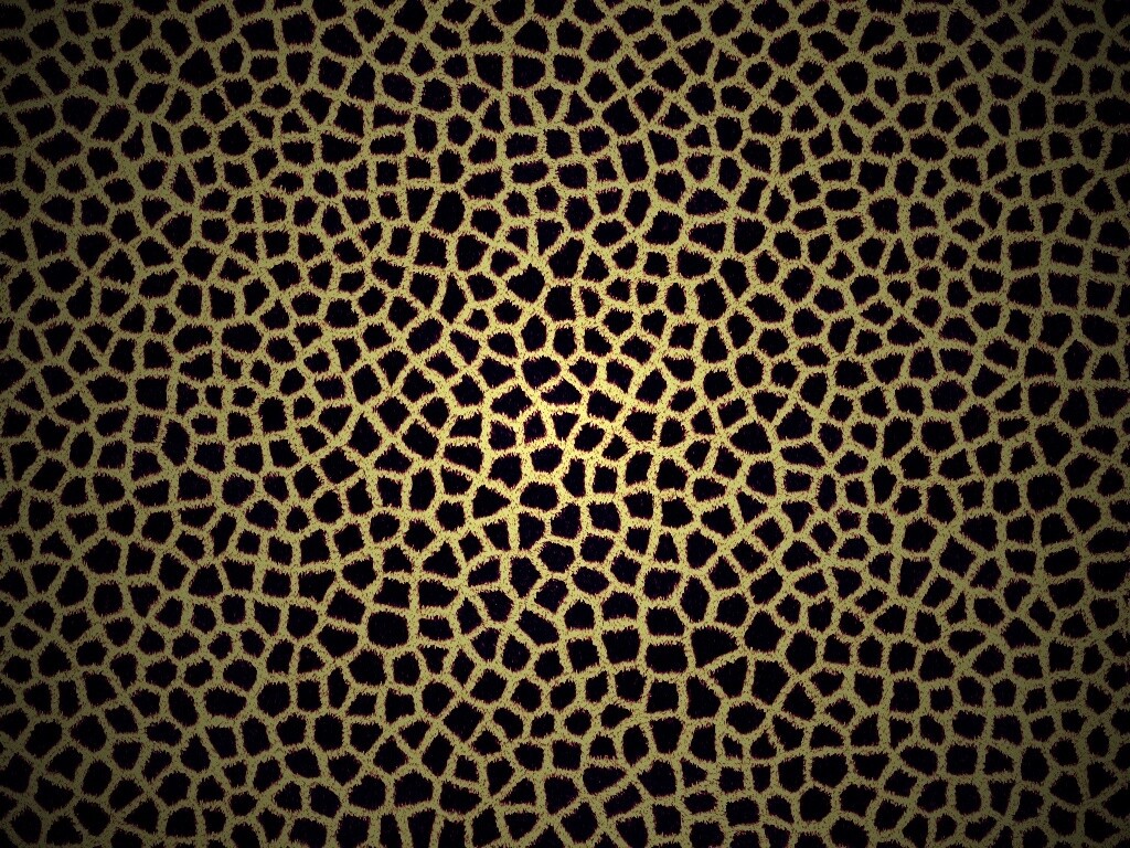 Текстура шкуры жирафа обои