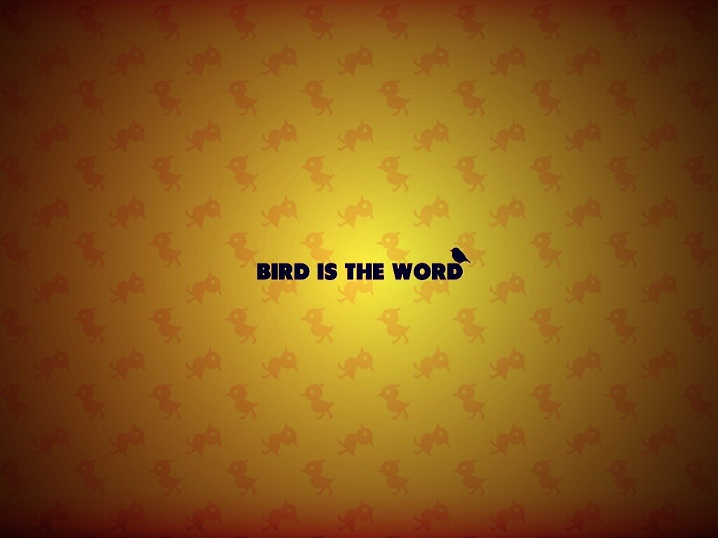 Bird is the word обои