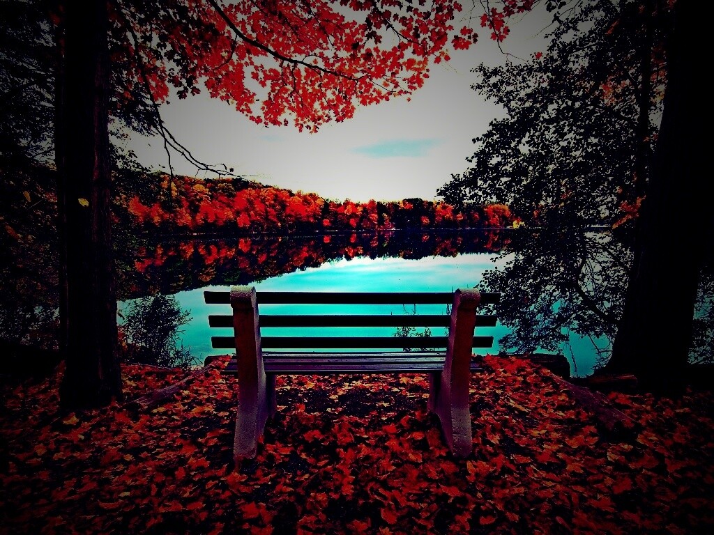 Вид на осеннее озеро обои