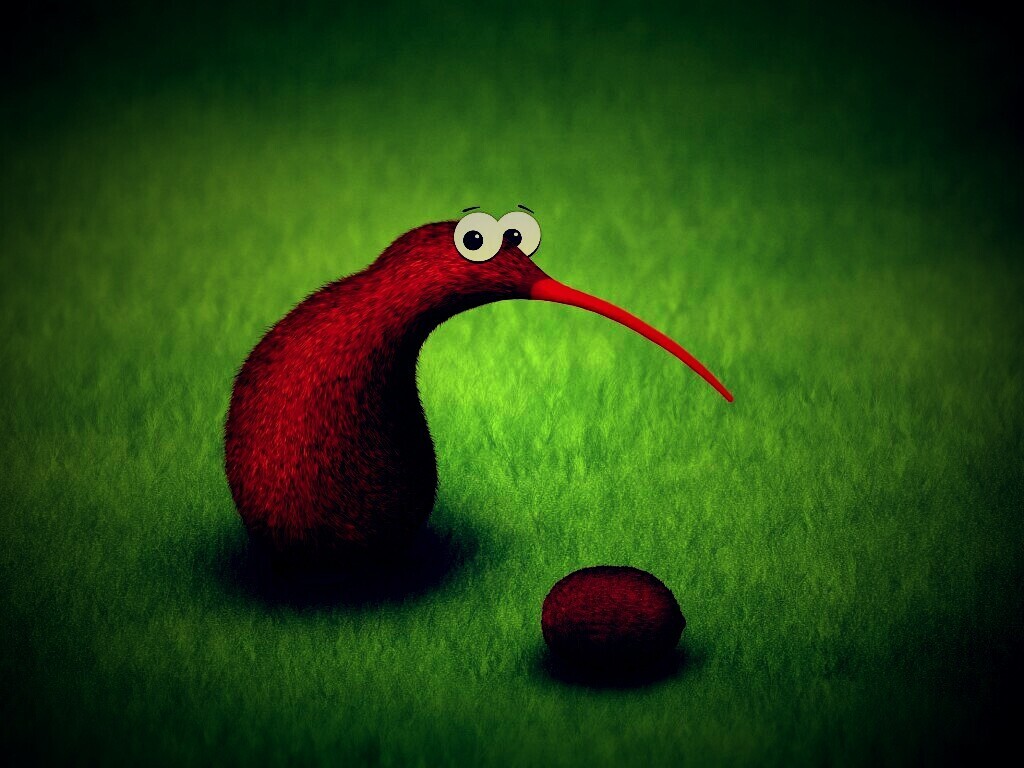 Киви и киви обои