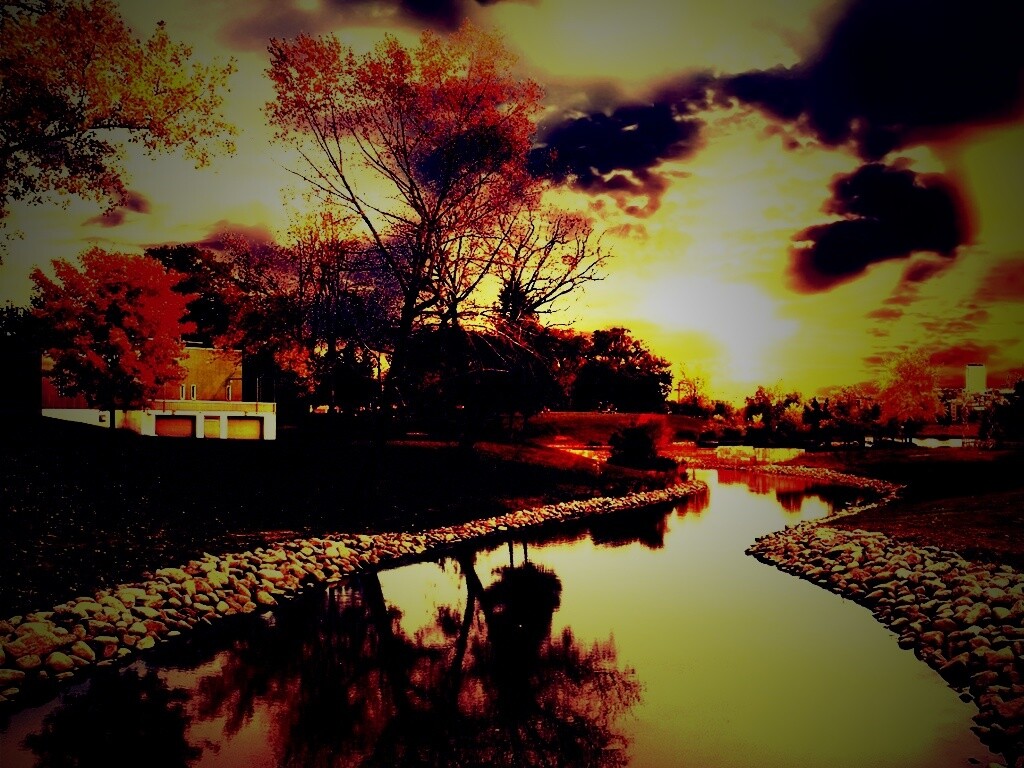 Осенний день в парке обои