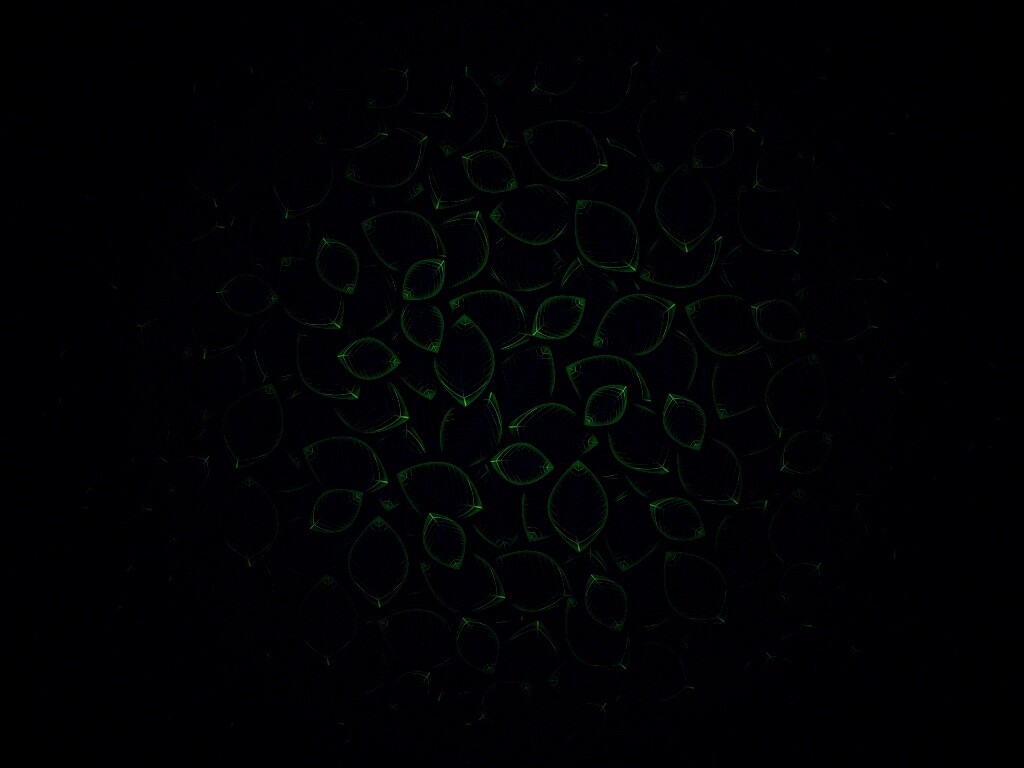 Векторные зеленые листья обои