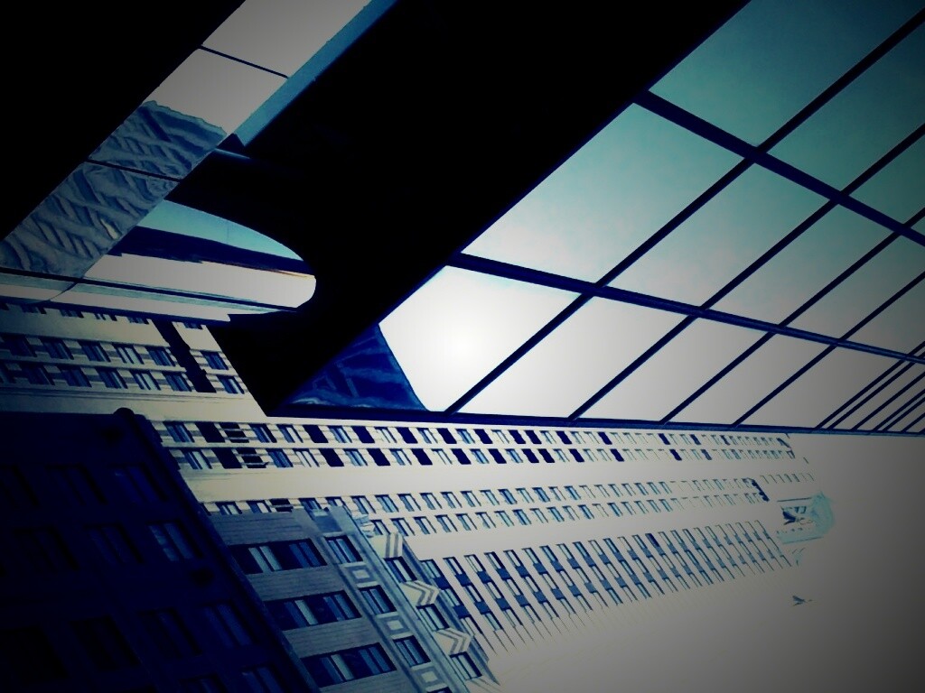 Взгляд вверх обои