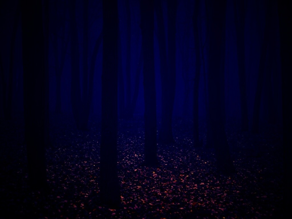 Таинственный лес обои