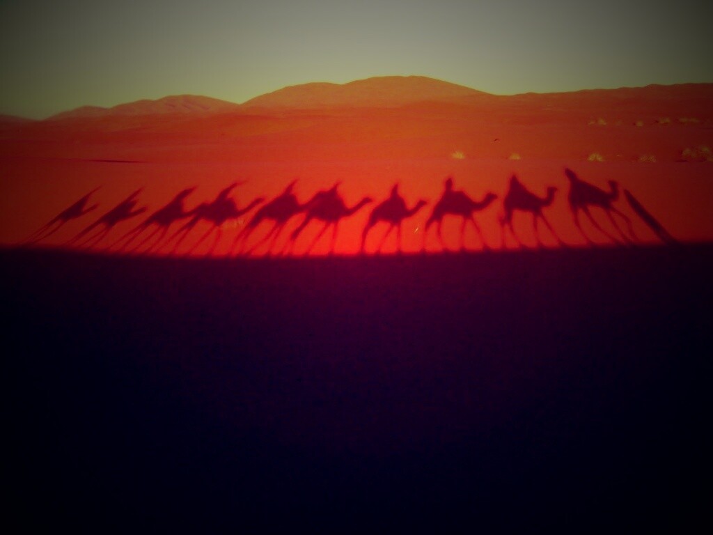 Караван обои