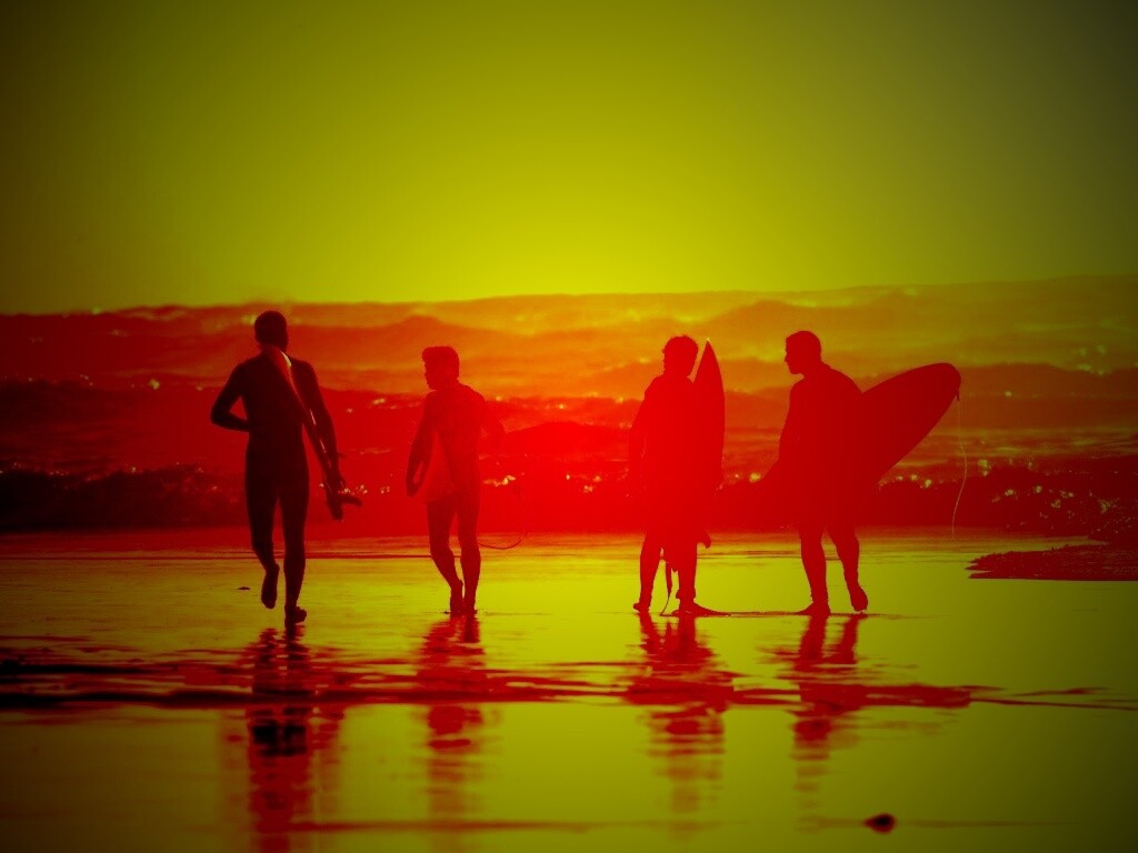 Серфингисты обои