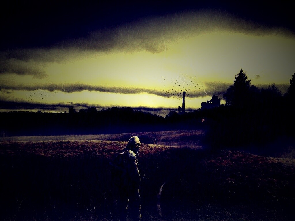 Сталкер под дождем обои