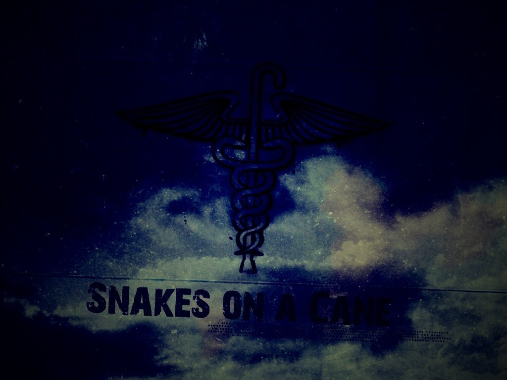 Змеи на трости обои